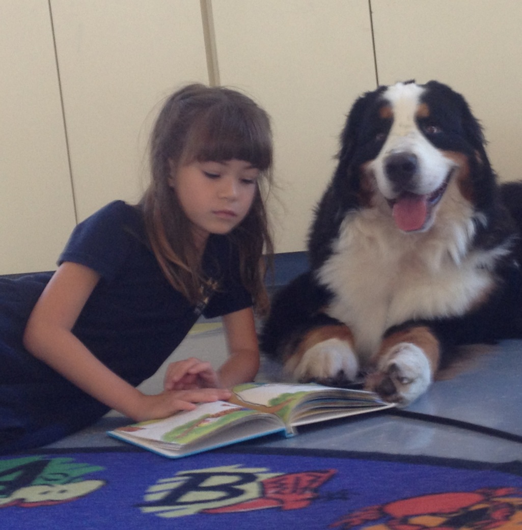 Rose Lesniak Dog Trainer Miami fl working with the Miami Beach Library teaching kids to read to dogs